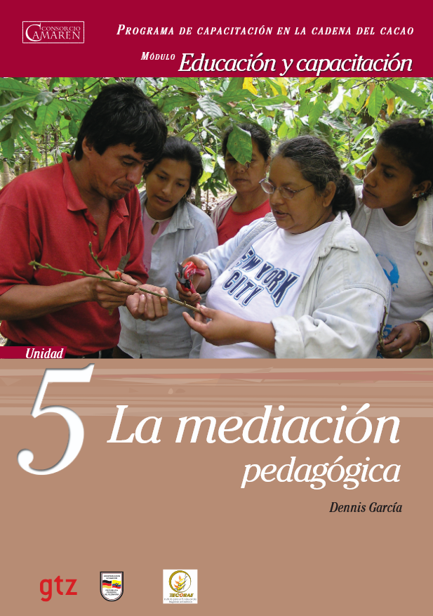 Unidad 5 La mediación pedagógica