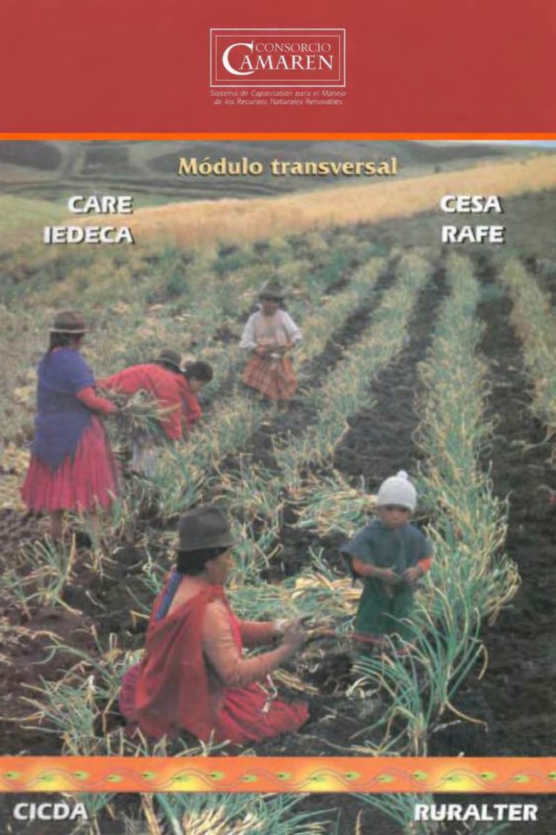 Programa Módulos Transversales del programa técnicos