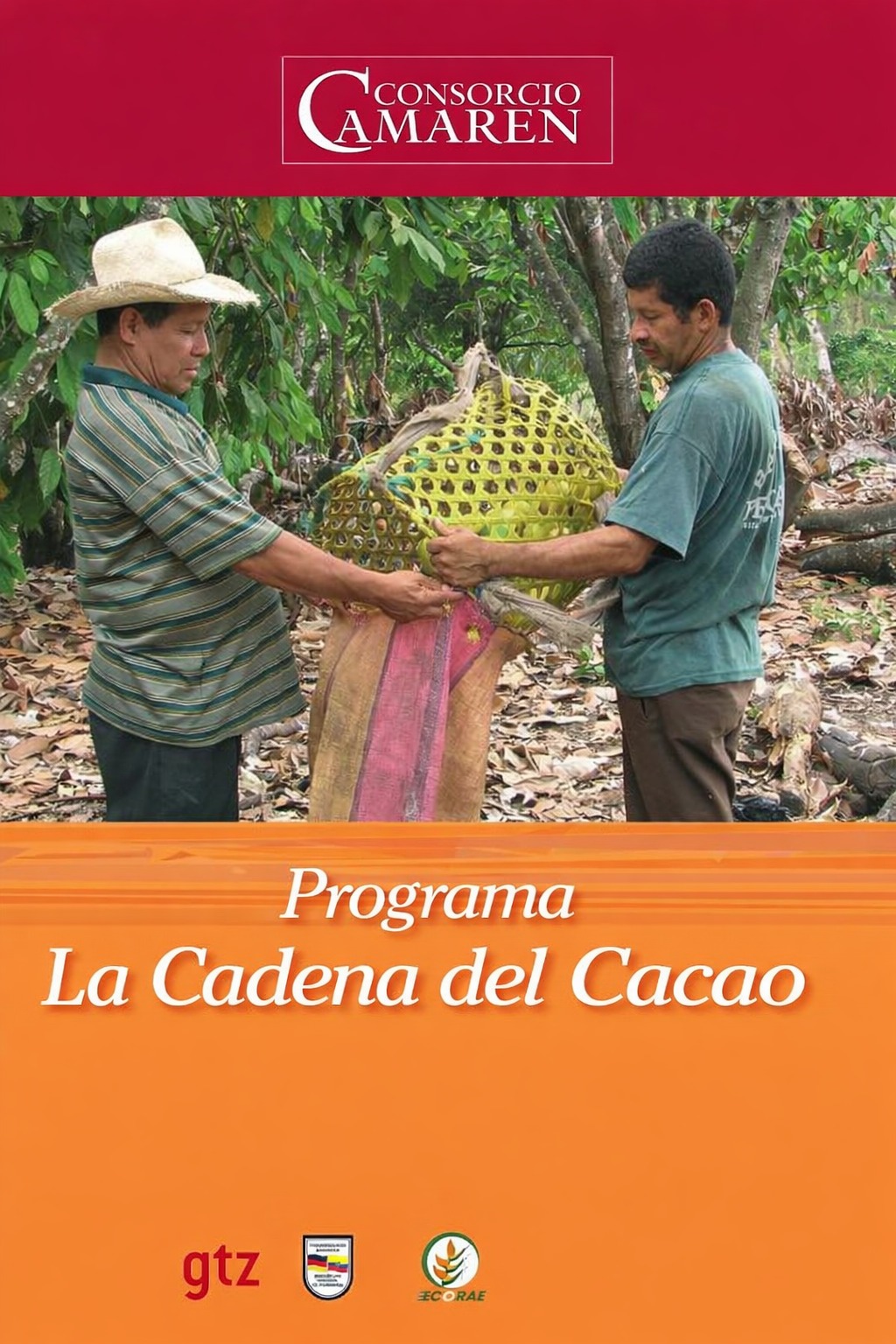 Programa la cadena de cacao