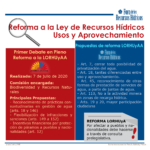 Z_CORREGIDO_INFOGRAFIA_-2