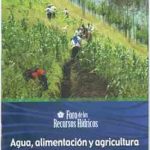 alimentacion