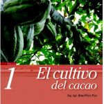 cacao21