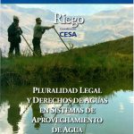 pluralidad