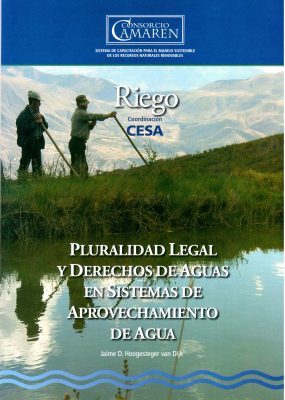 pluralidad
